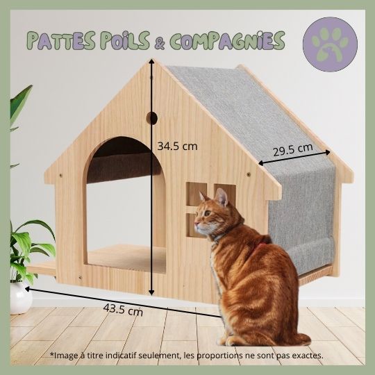 Accessoires d'escalade pour chat | Climbing - Cat - House™ - Pattes Poils & Compagnies