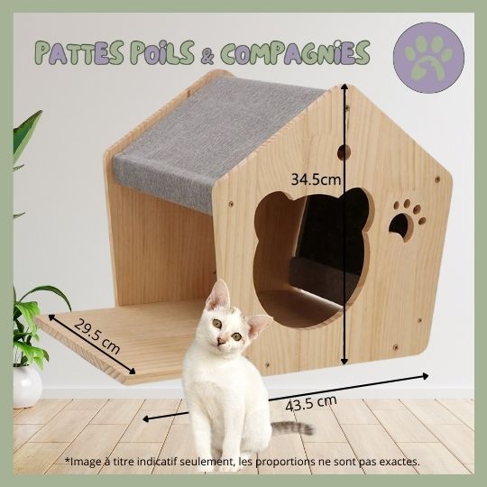 Accessoires d'escalade pour chat | Climbing - Cat - House™ - Pattes Poils & Compagnies