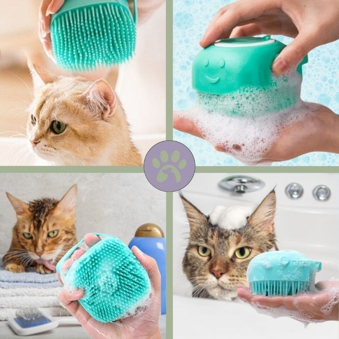 Brosse de bain pour chat | Brossy - Pet™ - Pattes Poils & Compagnies