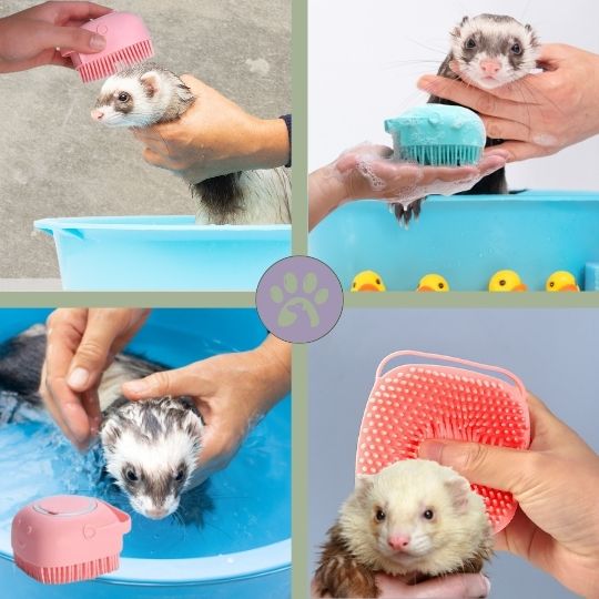 Brosse de bain pour furet | Brossy - Pet™ - Pattes Poils & Compagnies