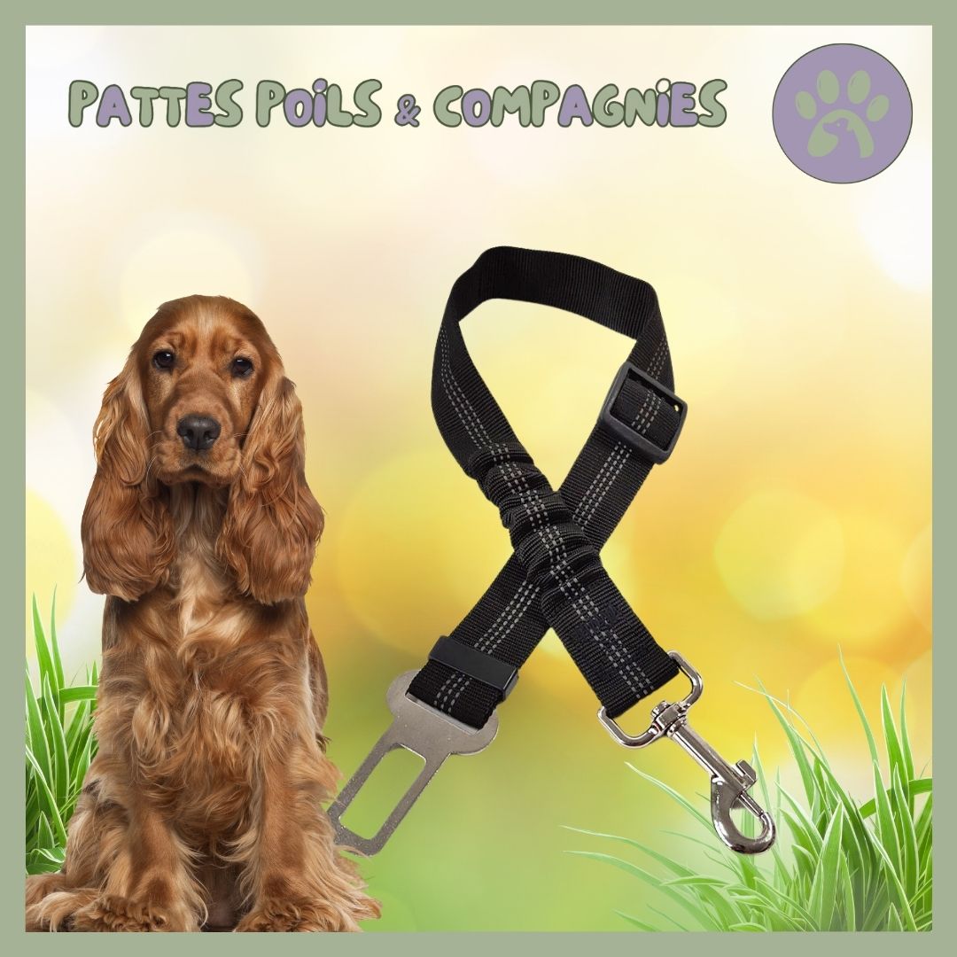 Ceinture de sécurité pour chien | Auto - Sécure™ - Pattes Poils & Compagnies