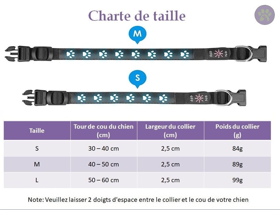 Collier lumineux pour chien rechargeable | Safe - Collar™ - Pattes Poils & Compagnies