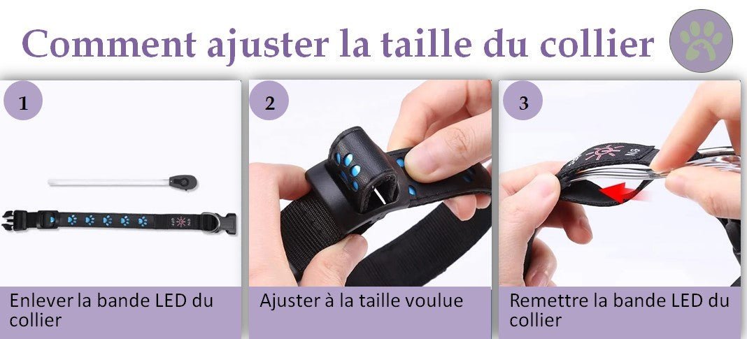 Collier lumineux pour chien rechargeable | Safe - Collar™ - Pattes Poils & Compagnies