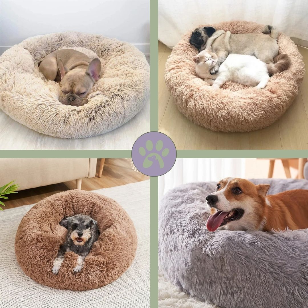 Couchage pour chien | Pet - Nest™ - Pattes Poils & Compagnies