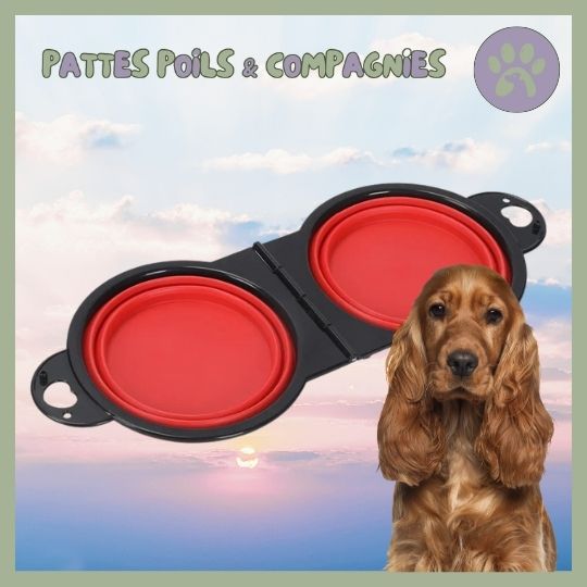 Gamelle de voyage double pour chien | Double - Travel - Bowl™ - Pattes Poils & Compagnies