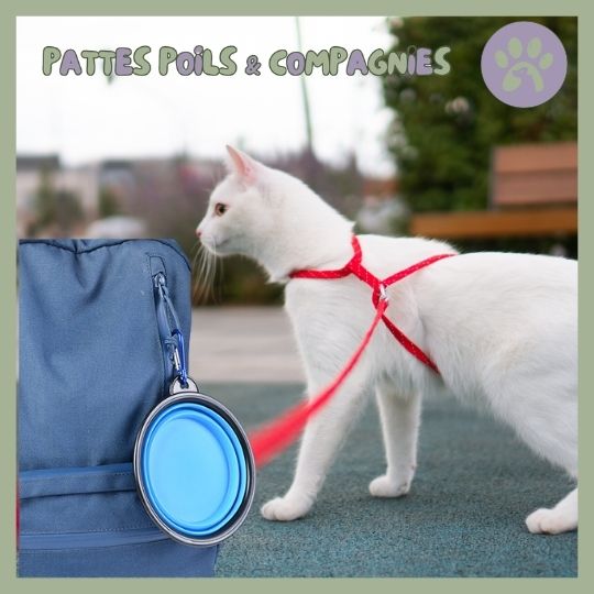 Gamelle de voyage pour chat | Travel - Bowl™ - Pattes Poils & Compagnies