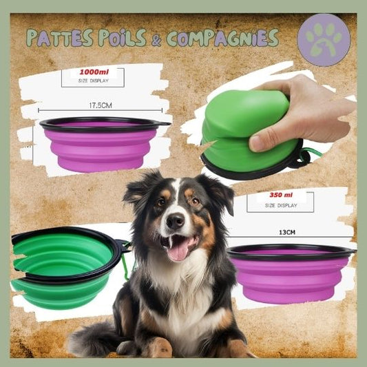 Gamelle de voyage pour chien | Travel - Bowl™ - Pattes Poils & Compagnies