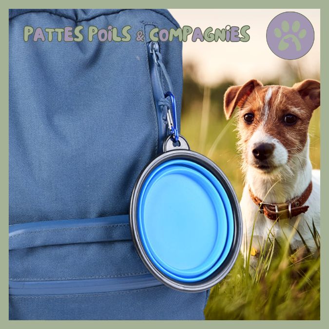 Gamelle de voyage pour chien | Travel - Bowl™ - Pattes Poils & Compagnies