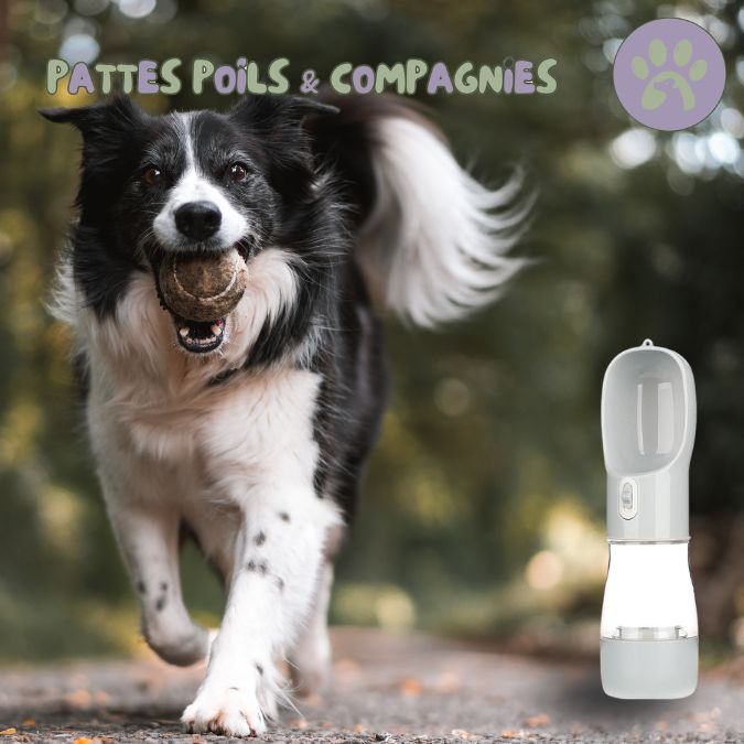 Gamelle pour chien gourde pour chien | Bottle&Bowl™ 2 en 1 - Pattes Poils & Compagnies