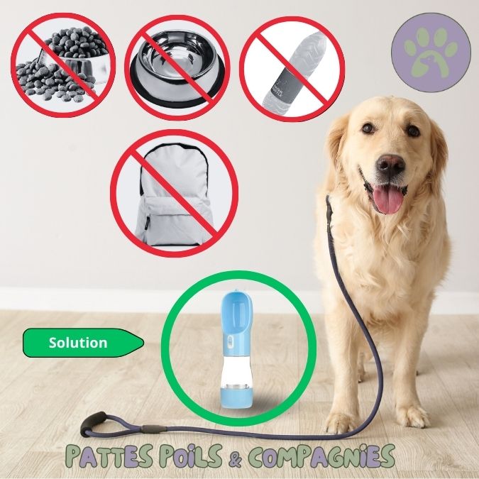 Gamelle pour chien gourde pour chien | Bottle&Bowl™ 2 en 1 - Pattes Poils & Compagnies