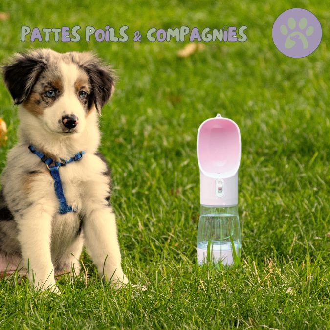 Gamelle pour chien gourde pour chien | Bottle&Bowl™ 2 en 1 - Pattes Poils & Compagnies