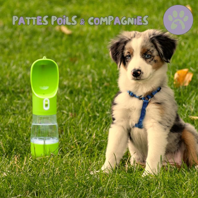 Gamelle pour chien gourde pour chien | Bottle&Bowl™ 2 en 1 - Pattes Poils & Compagnies