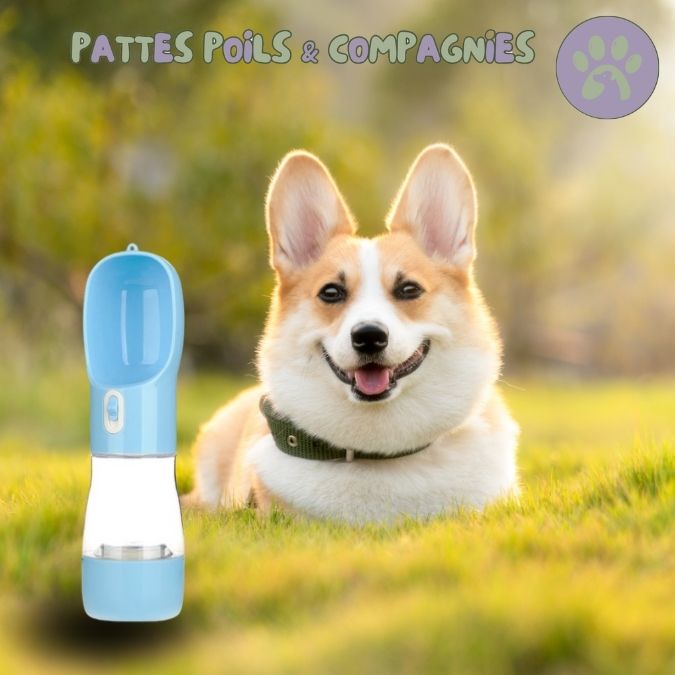 Gamelle pour chien gourde pour chien | Bottle&Bowl™ 2 en 1 - Pattes Poils & Compagnies