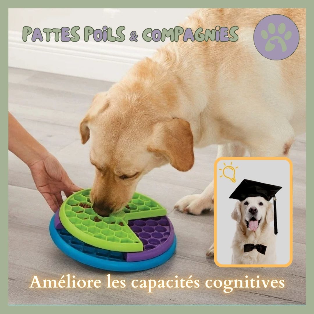 Gamelle/jeu d’alimentation lente | Eat - Slow™ - Pattes Poils & Compagnies