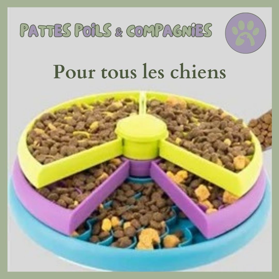 Gamelle/jeu d’alimentation lente | Eat - Slow™ - Pattes Poils & Compagnies