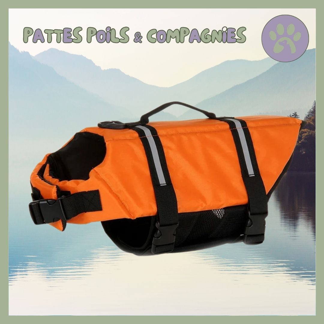 Gilet de sauvetage pour chien | Doggy - Float™ - Pattes Poils & Compagnies