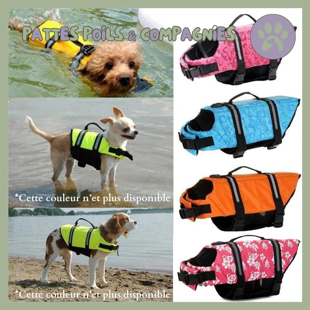 Gilet de sauvetage pour chien | Doggy - Float™ - Pattes Poils & Compagnies