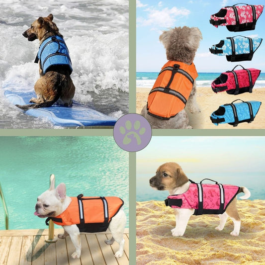 Gilet de sauvetage pour chien | Doggy - Float™ - Pattes Poils & Compagnies