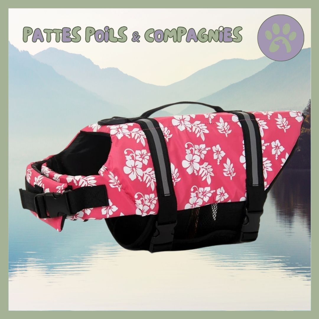 Gilet de sauvetage pour chien | Doggy - Float™ - Pattes Poils & Compagnies