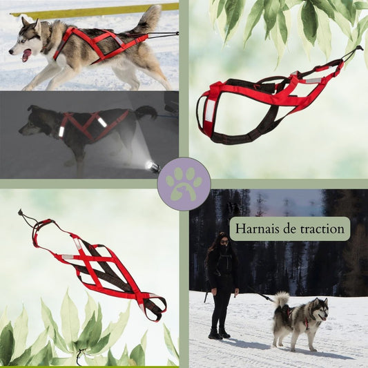 Harnais de traction pour chien | Pull - Harness™ - Pattes Poils & Compagnies