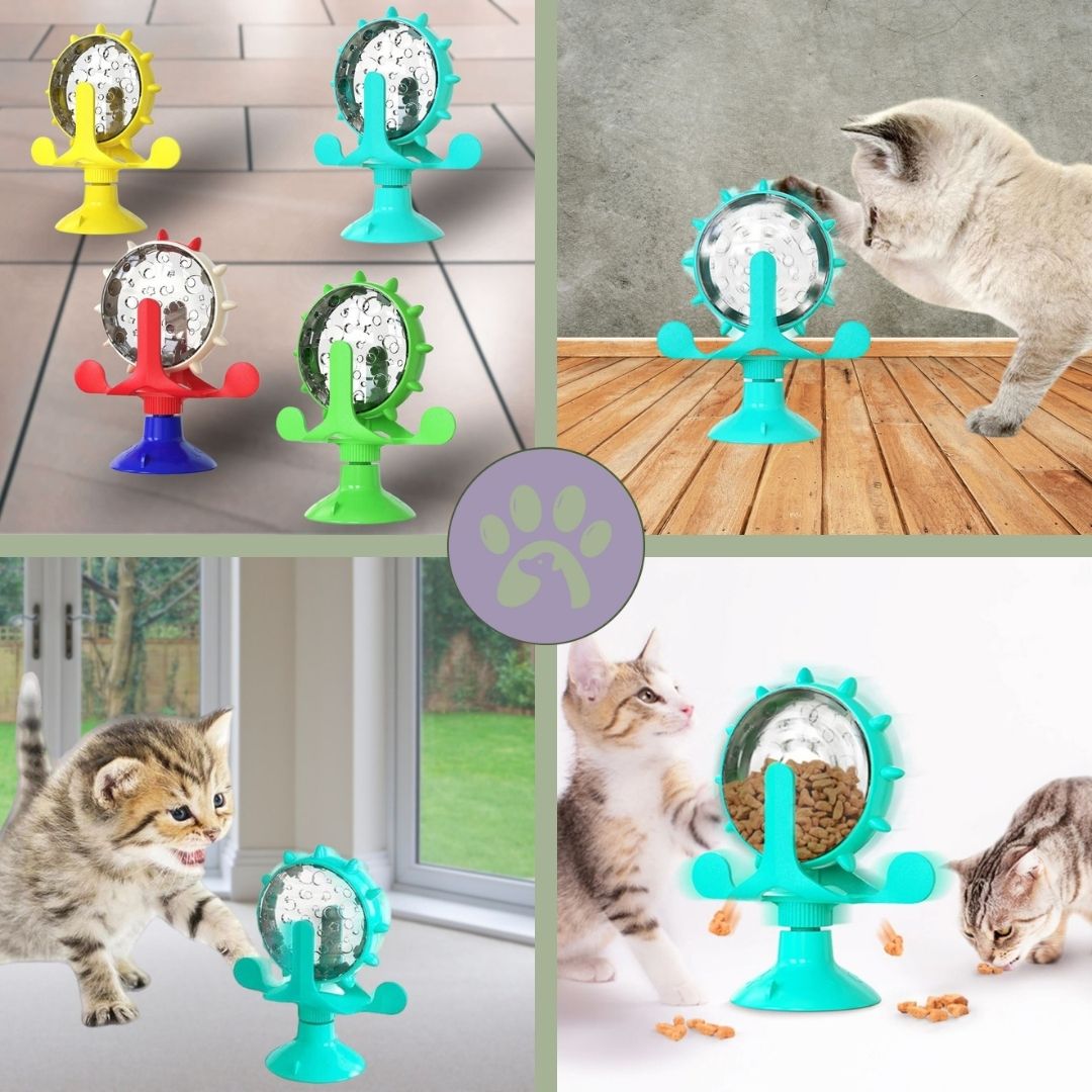 Jouet pour chat | Roll - O - Fun™ - Pattes Poils & Compagnies