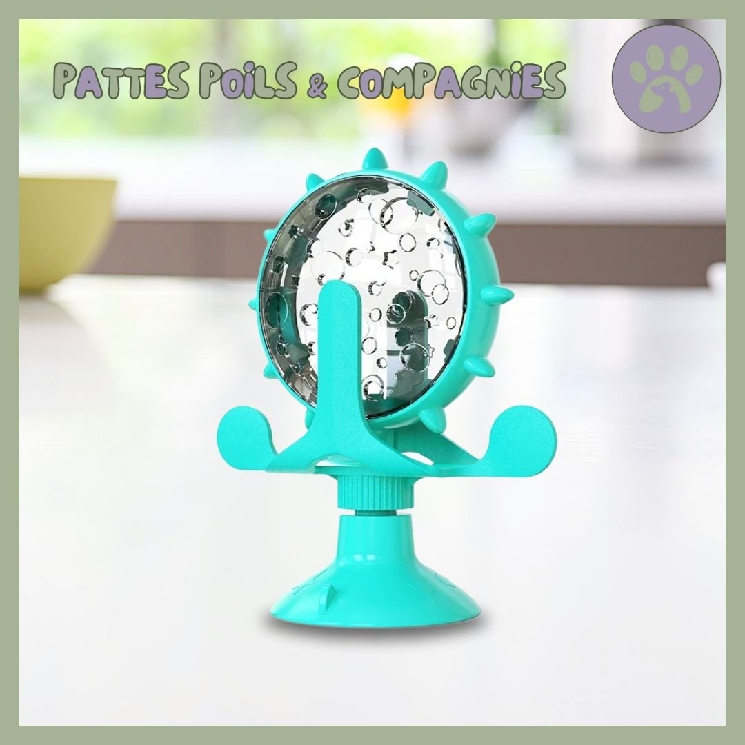 Jouet pour chat | Roll - O - Fun™ - Pattes Poils & Compagnies