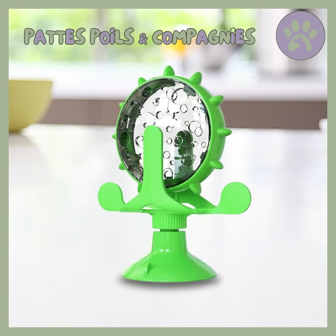 Jouet pour chat | Roll - O - Fun™ - Pattes Poils & Compagnies