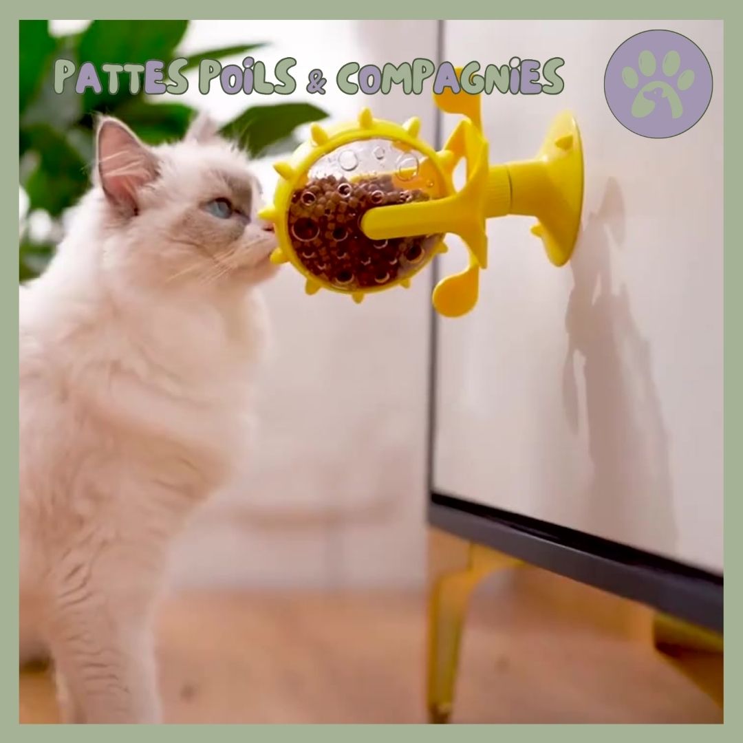 Jouet pour chat | Roll - O - Fun™ - Pattes Poils & Compagnies