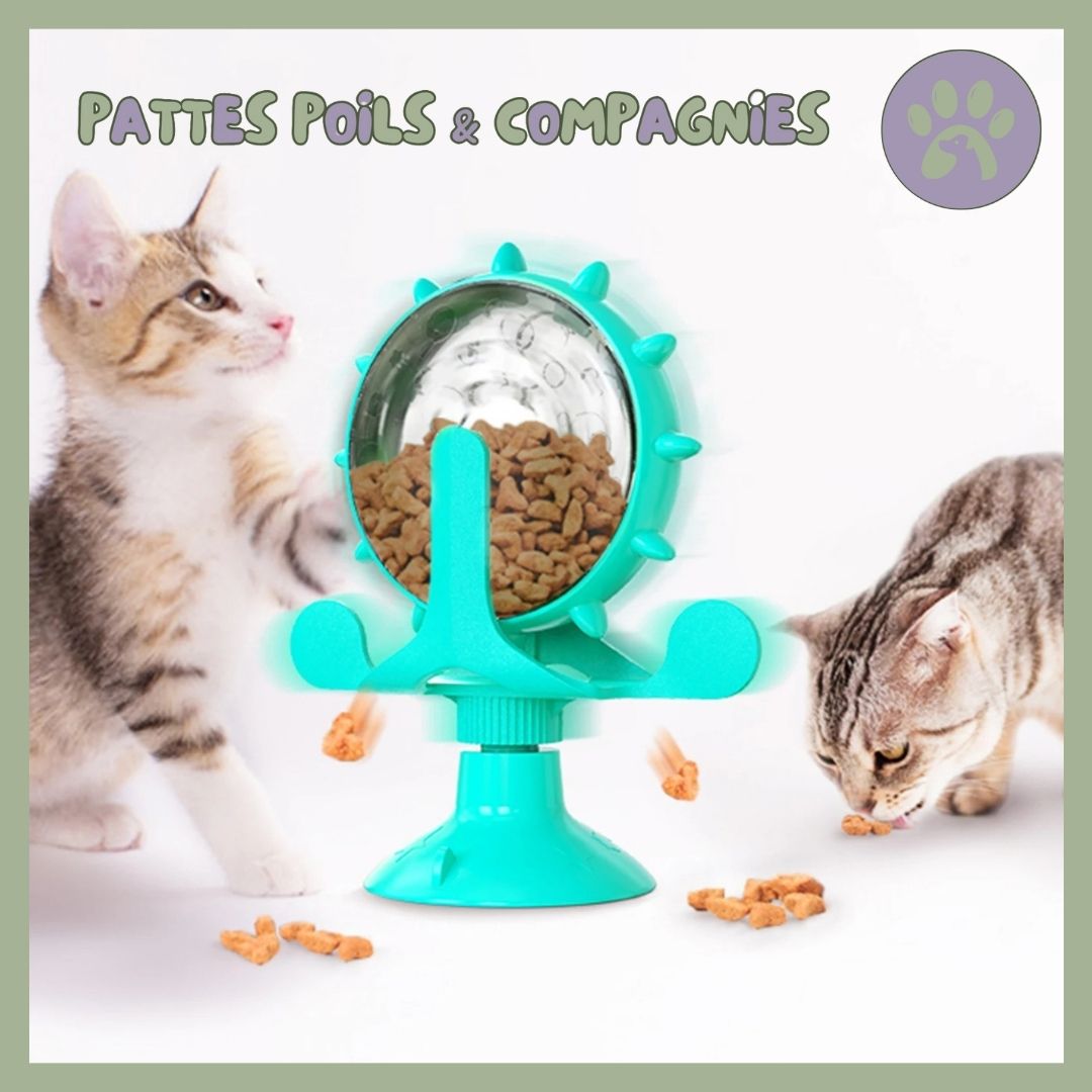 Jouet pour chat | Roll - O - Fun™ - Pattes Poils & Compagnies