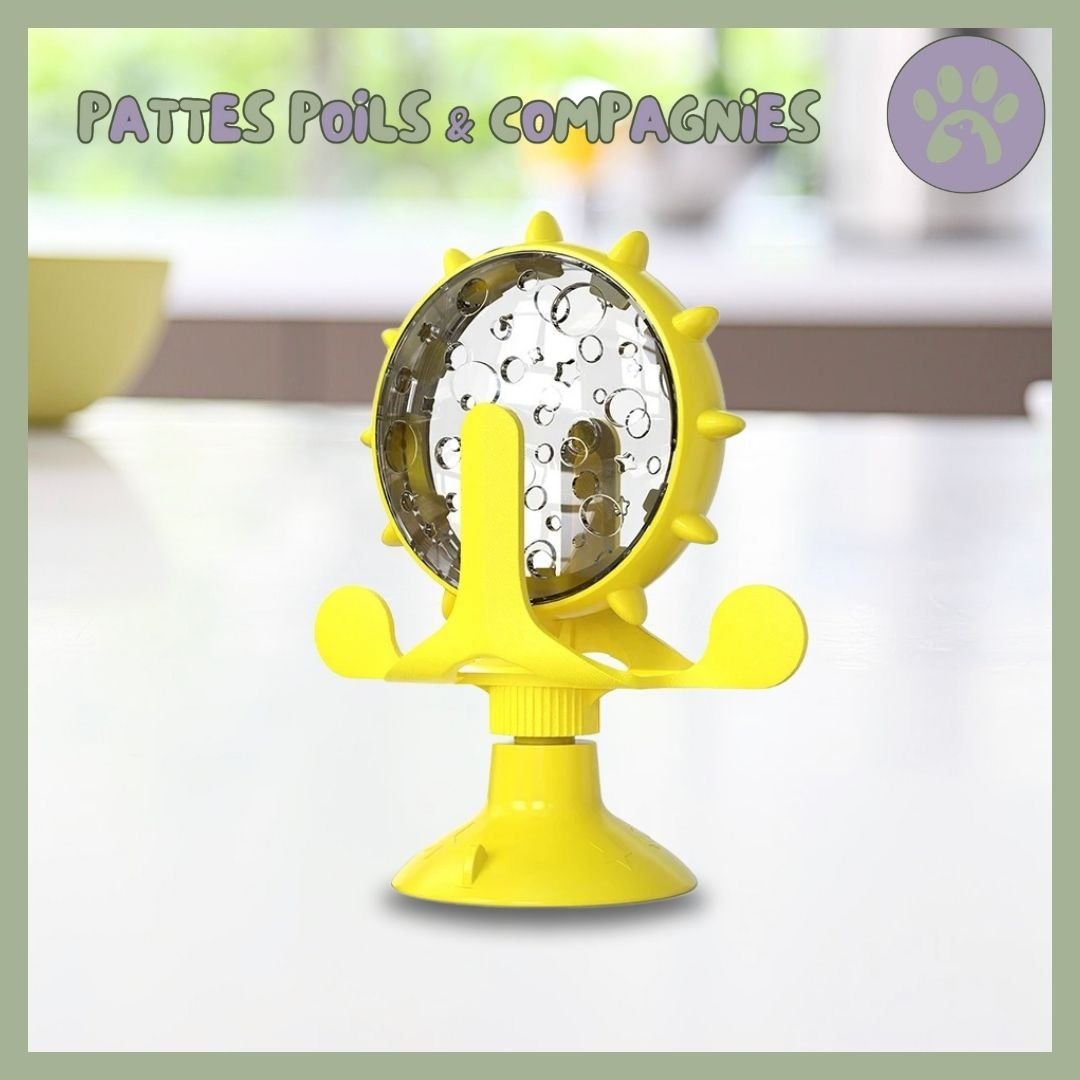 Jouet pour chat | Roll - O - Fun™ - Pattes Poils & Compagnies