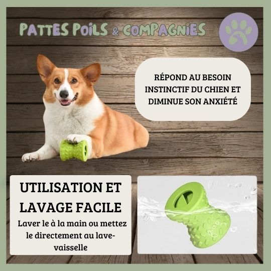 Jouet pour chien anti - glouton | Cône - O - Jeu™ - Pattes Poils & Compagnies