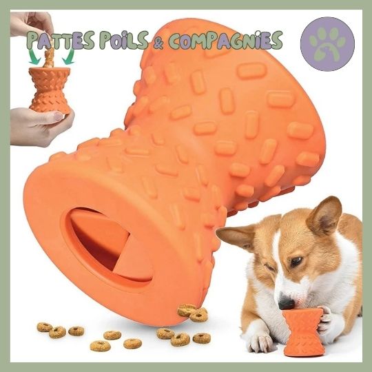 Jouet pour chien anti - glouton | Cône - O - Jeu™ - Pattes Poils & Compagnies