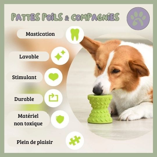 Jouet pour chien anti - glouton | Cône - O - Jeu™ - Pattes Poils & Compagnies