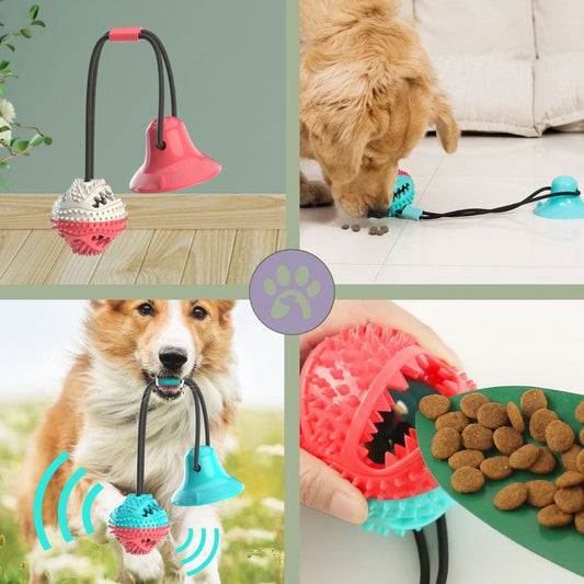 Jouet pour chien interactif | Tir - Fort™ - Pattes Poils & Compagnies