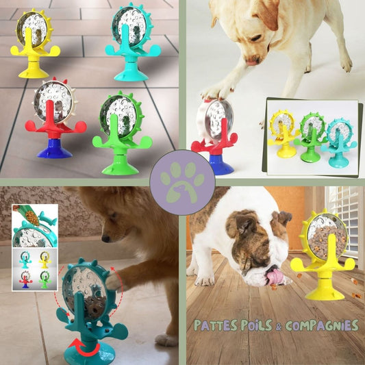 Jouet pour chien | Roll - O - Fun™ - Pattes Poils & Compagnies