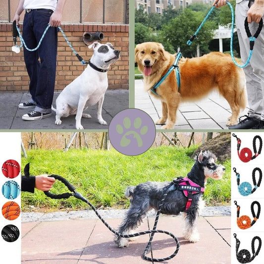 Laisse chien en corde | Laisse - Éduc™ - Pattes Poils & Compagnies