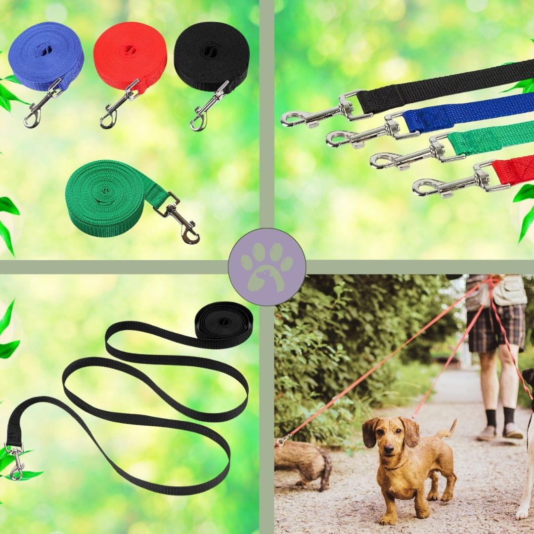 Longue laisse pour chien | Lon - Jeu™ - Pattes Poils & Compagnies