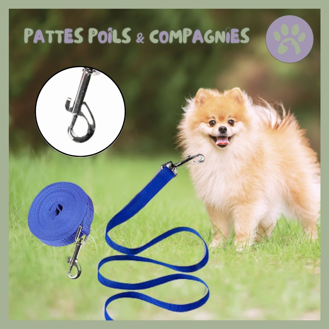 Longue laisse pour chien | Lon - Jeu™ - Pattes Poils & Compagnies