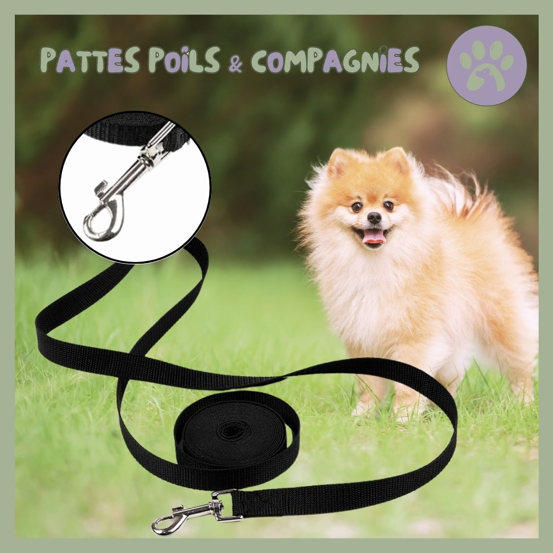 Longue laisse pour chien | Lon - Jeu™ - Pattes Poils & Compagnies