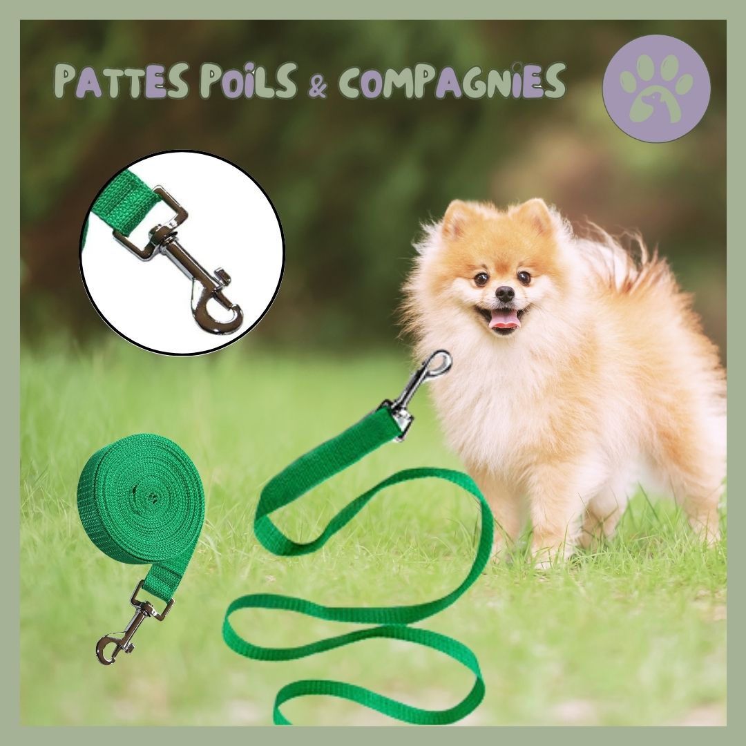 Longue laisse pour chien | Lon - Jeu™ - Pattes Poils & Compagnies