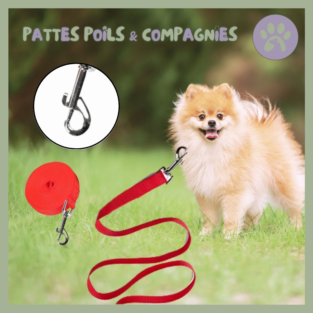 Longue laisse pour chien | Lon - Jeu™ - Pattes Poils & Compagnies