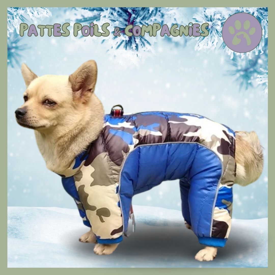 Manteau d’hiver pour chien | Chien - O - Chaud™ - Pattes Poils & Compagnies