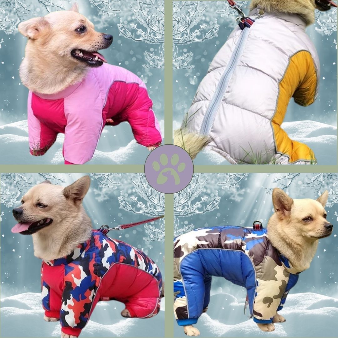 Manteau d’hiver pour chien | Chien - O - Chaud™ - Pattes Poils & Compagnies