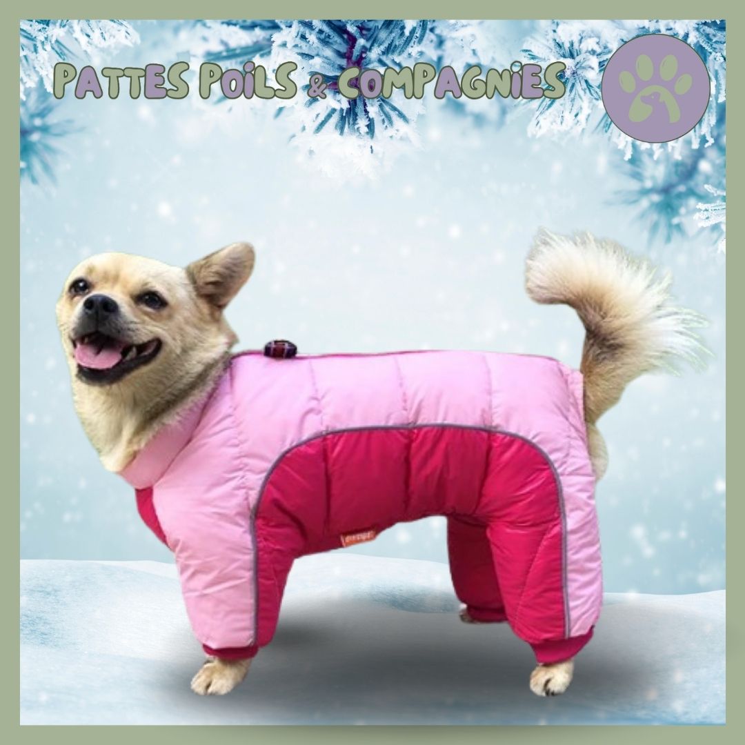 Manteau d’hiver pour chien | Chien - O - Chaud™ - Pattes Poils & Compagnies