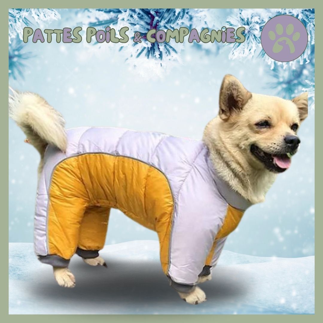 Manteau d’hiver pour chien | Chien - O - Chaud™ - Pattes Poils & Compagnies