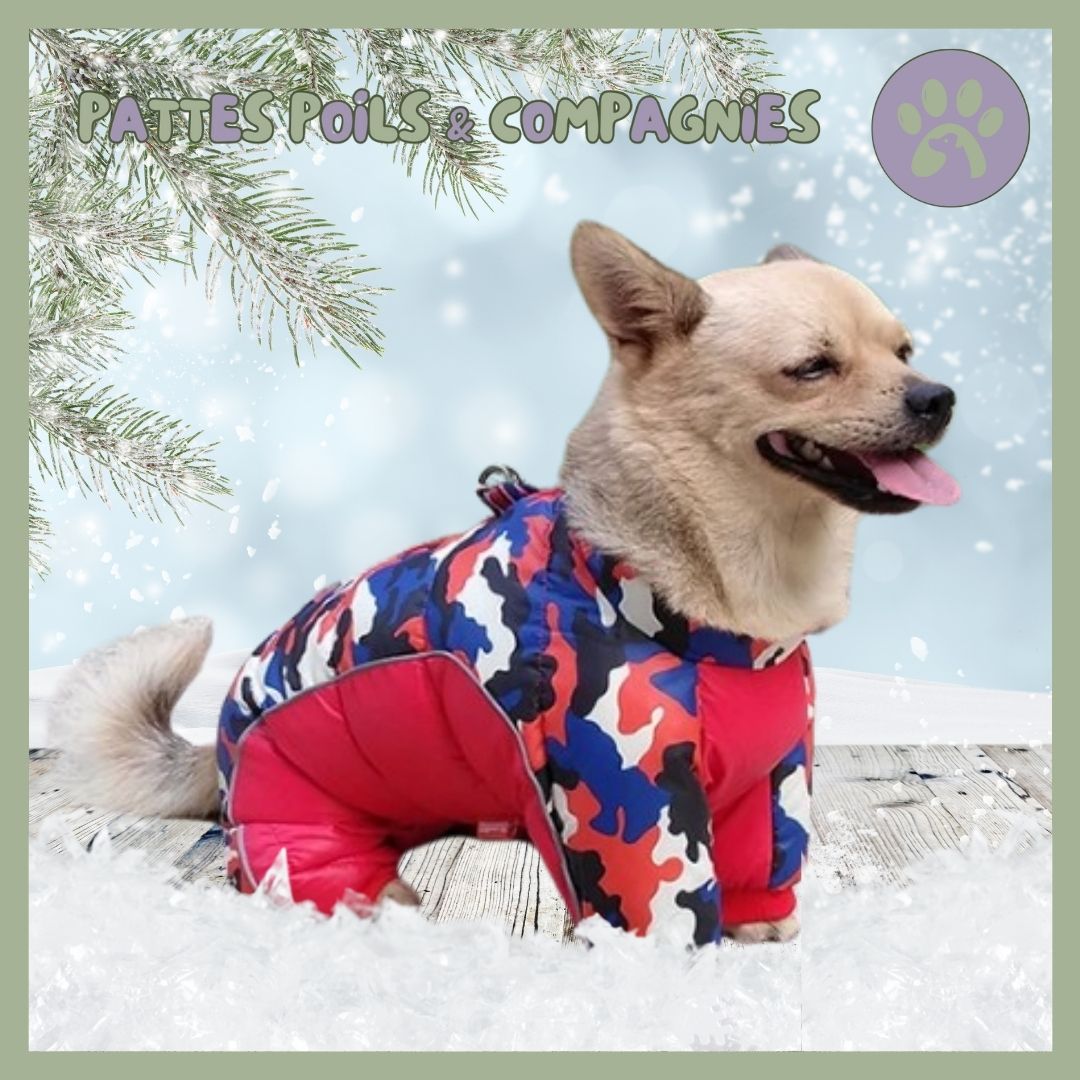 Manteau d’hiver pour chien | Chien - O - Chaud™ - Pattes Poils & Compagnies