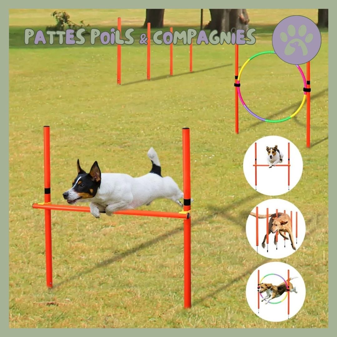 Parcours agility chien | Chien - Agile™ - Pattes Poils & Compagnies