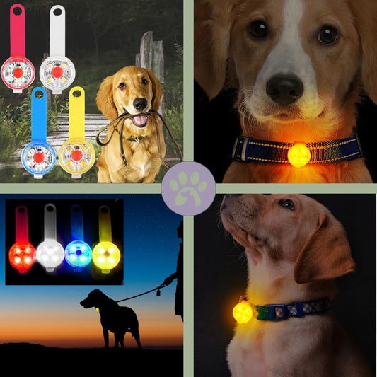 Pendentif lumineux rechargeable | Doogy - Light™ - Pattes Poils & Compagnies